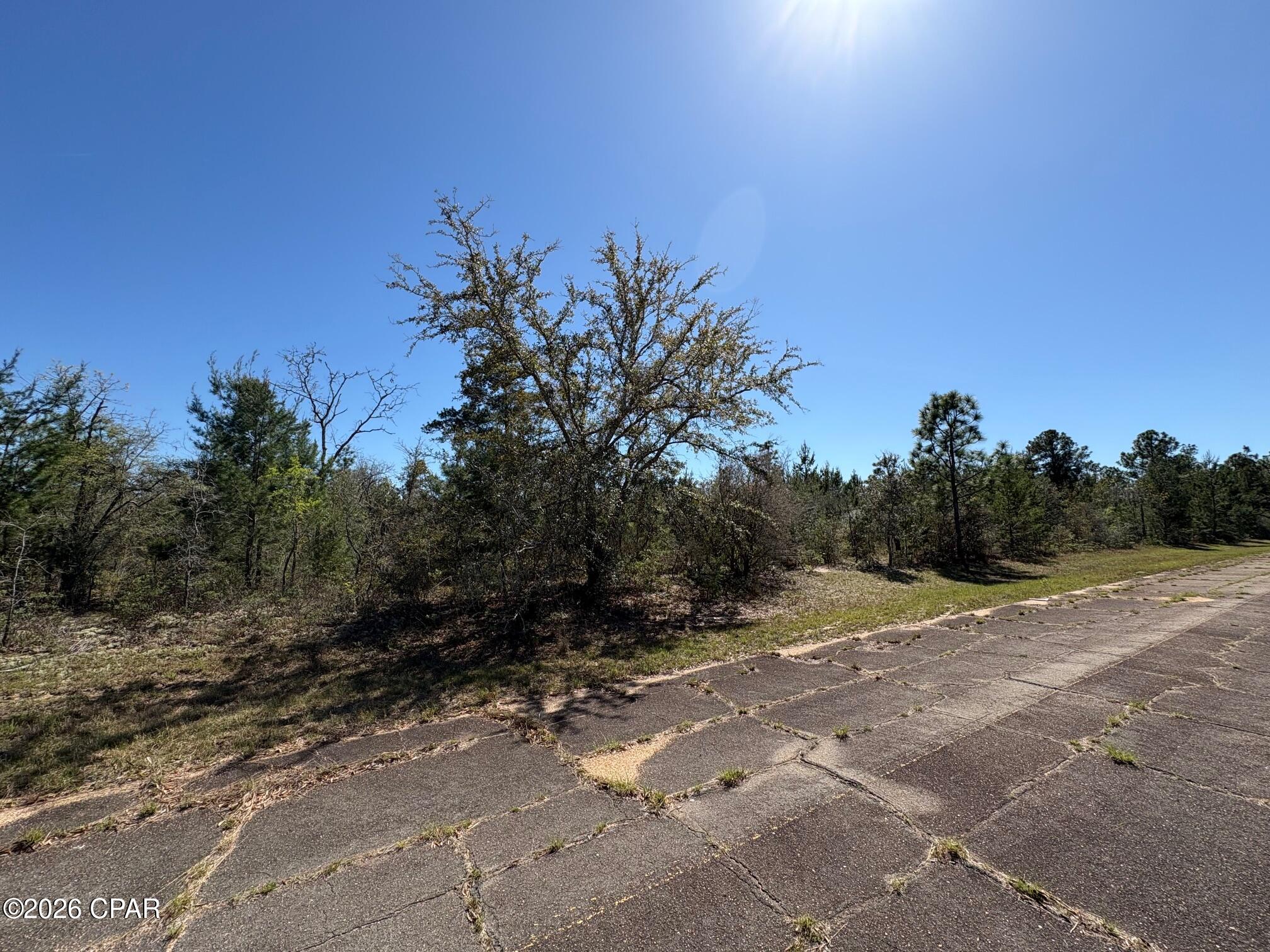 Lot 13 Windmill Street Chipley, FL 32428 - Photo 4 of 5