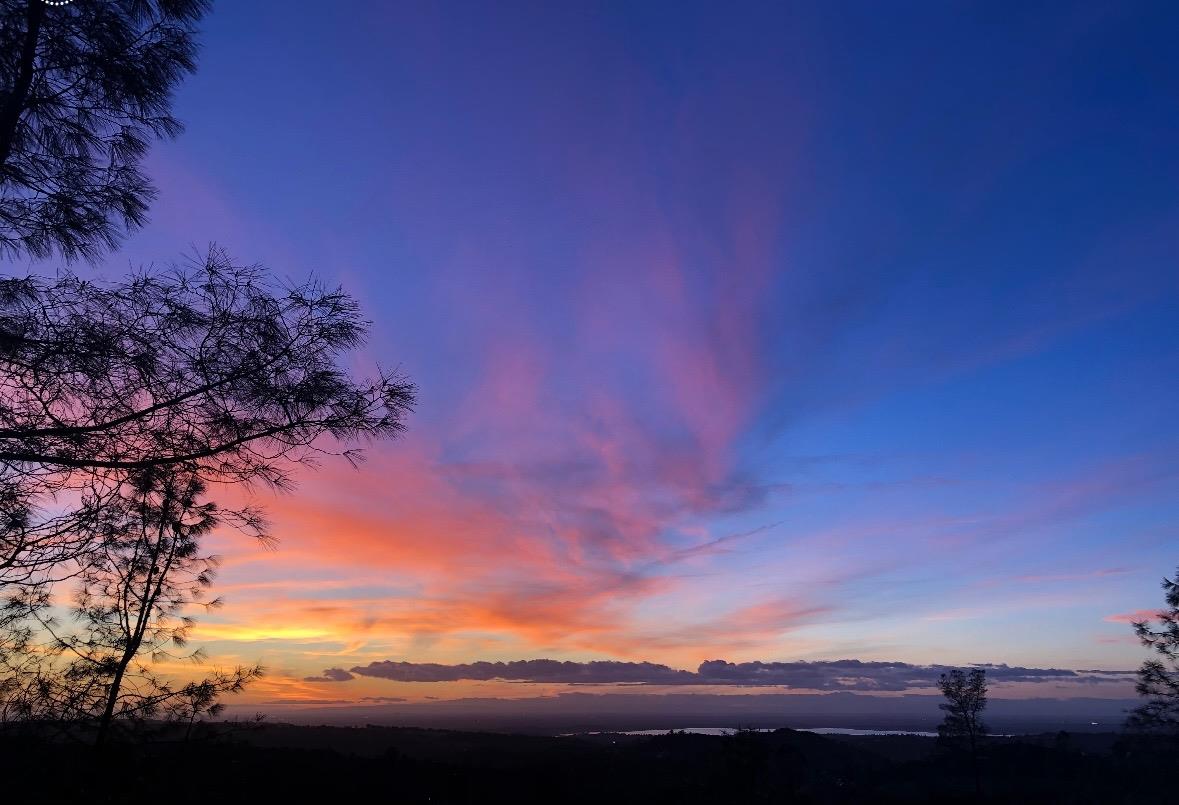 2352 Sanford Court Rescue, CA 95672 - Photo 50 of 56