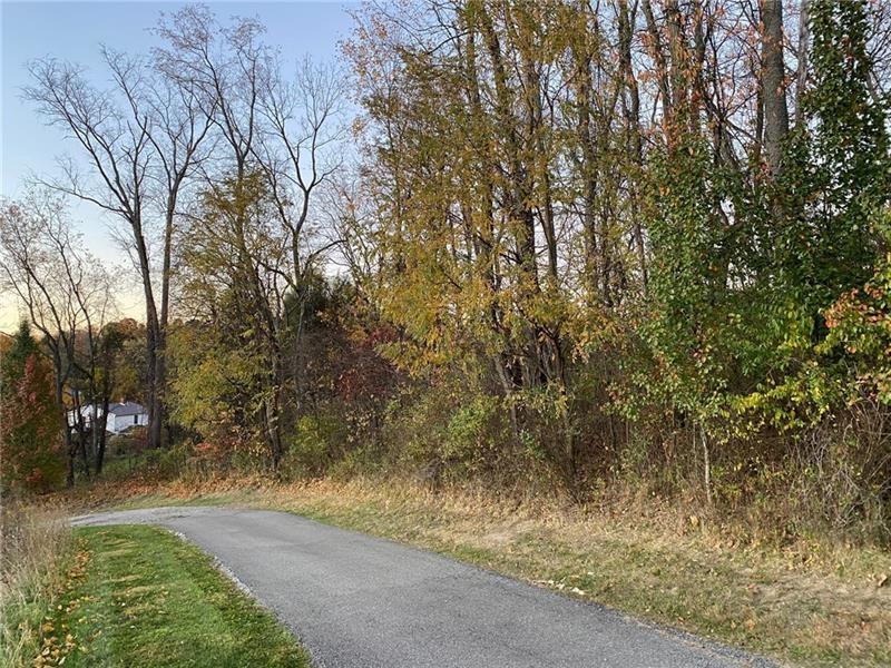 298 A McCombs Road Venetia, PA 15367 - Photo 3 of 12 a view of backyard with green space