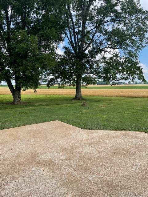 3125 Buffalo Road Lawrenceburg, TN 38464 - Photo 10 of 22