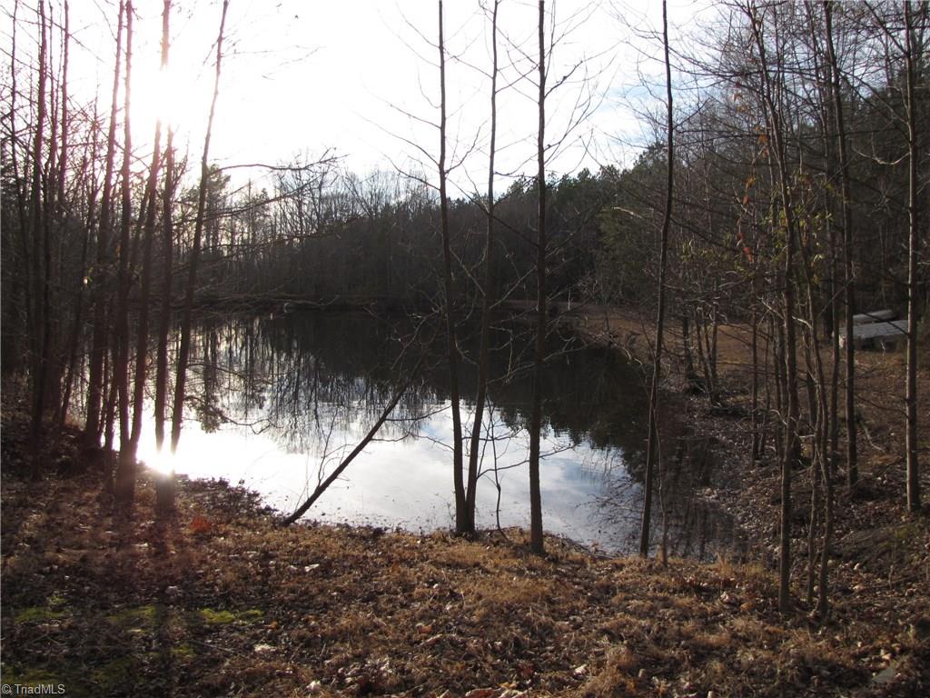 Off Calahaln Road Mocksville, NC 27028 - Photo 12 of 24 Gallery Image 12