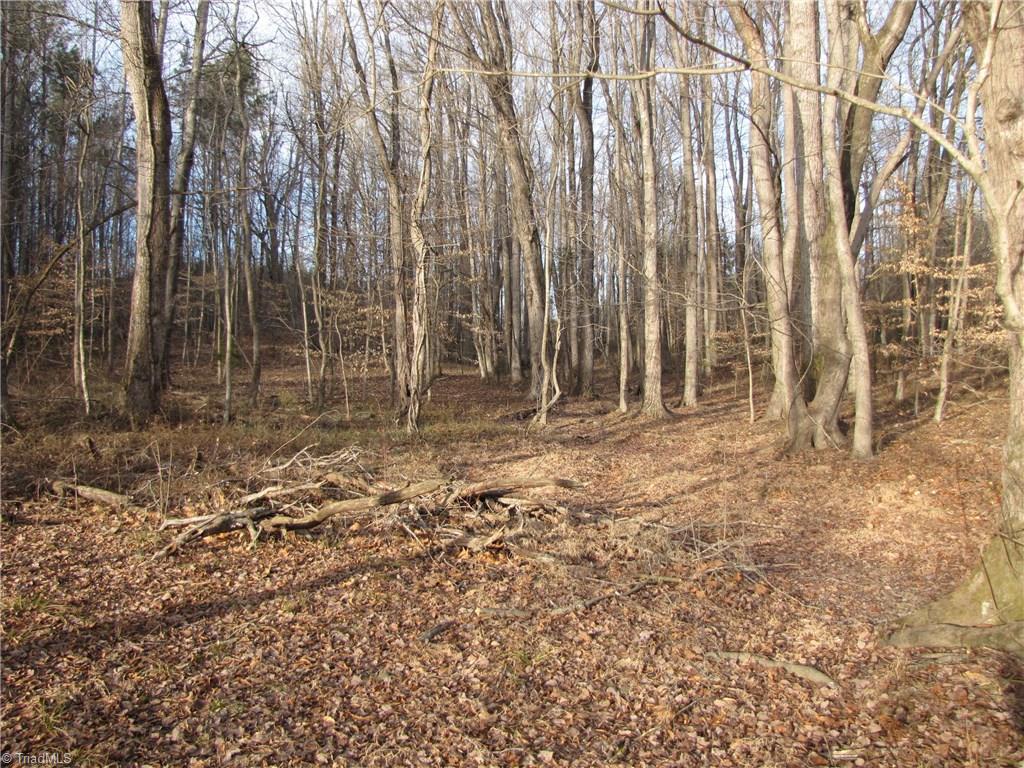 Off Calahaln Road Mocksville, NC 27028 - Photo 13 of 24 Gallery Image 13