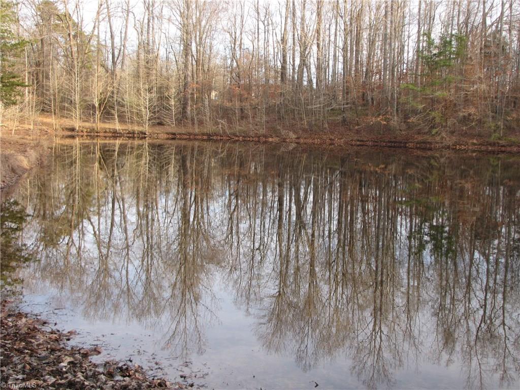 Off Calahaln Road Mocksville, NC 27028 - Photo 15 of 24 Gallery Image 15