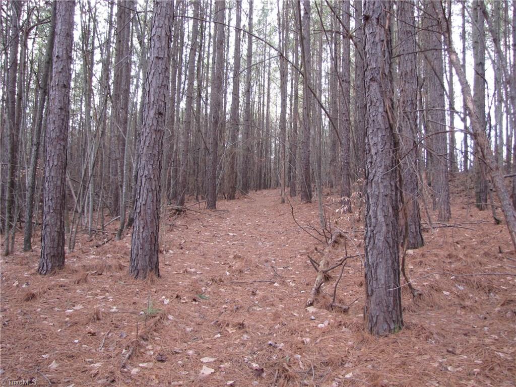 Off Calahaln Road Mocksville, NC 27028 - Photo 16 of 24 Gallery Image 16