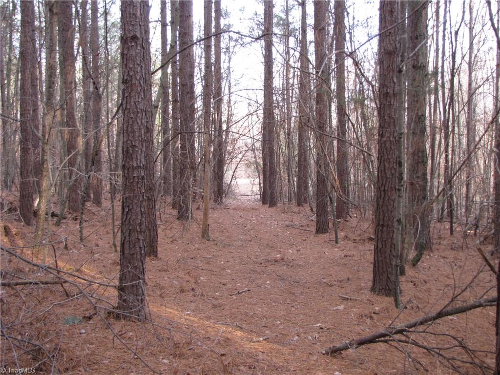 Off Calahaln Road Mocksville, NC 27028 - Photo 17 of 24 Gallery Image 17