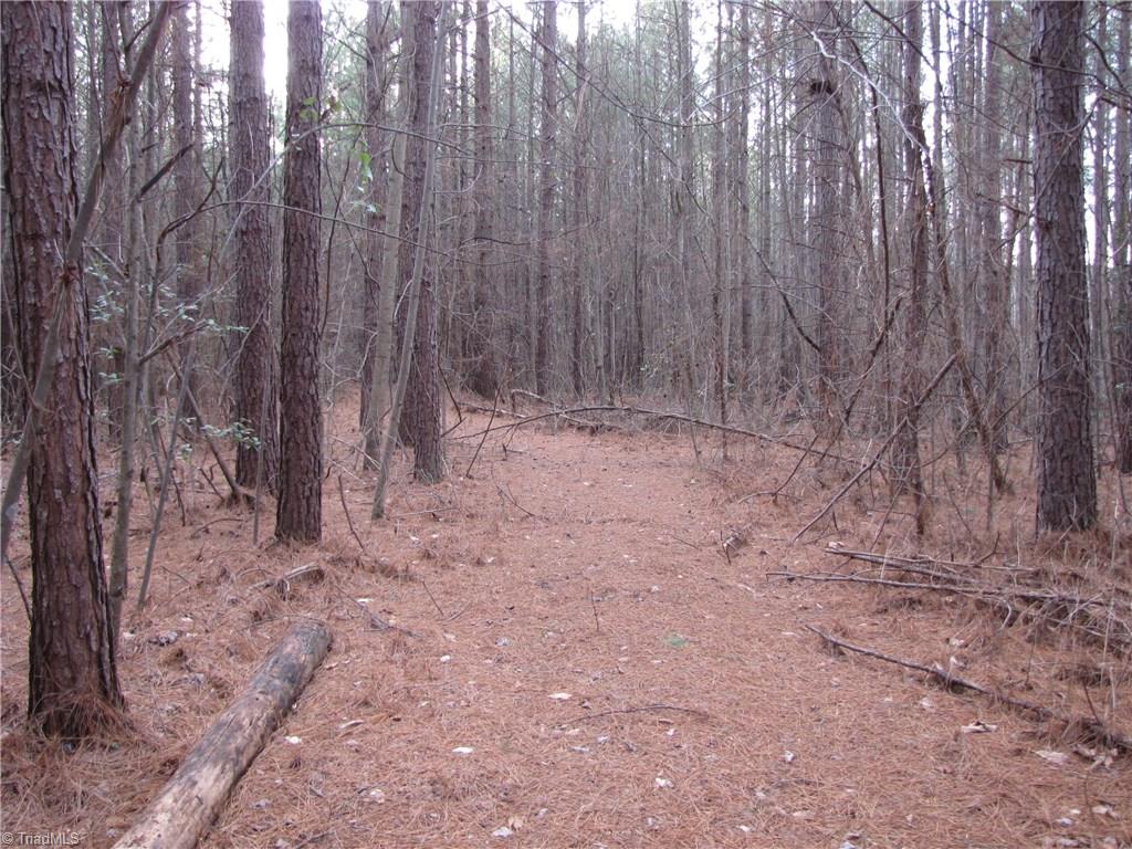 Off Calahaln Road Mocksville, NC 27028 - Photo 18 of 24 Gallery Image 18