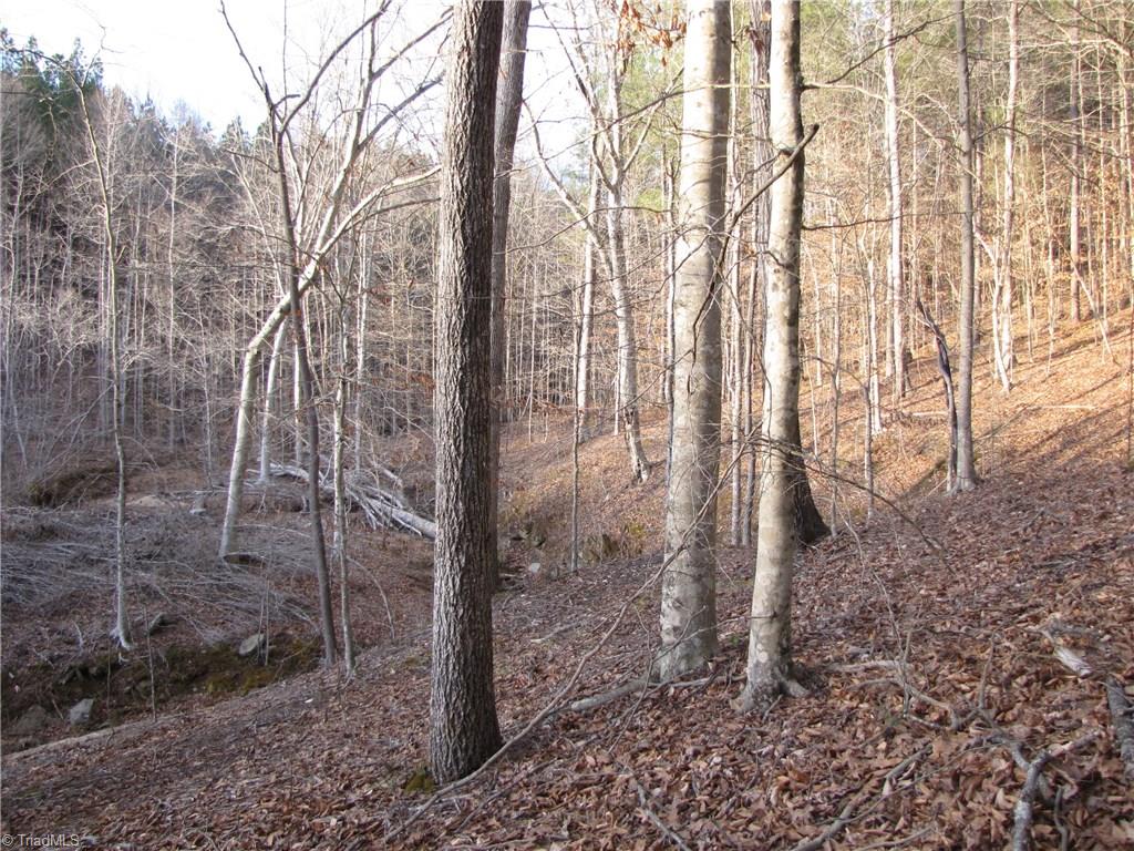 Off Calahaln Road Mocksville, NC 27028 - Photo 19 of 24 Gallery Image 19