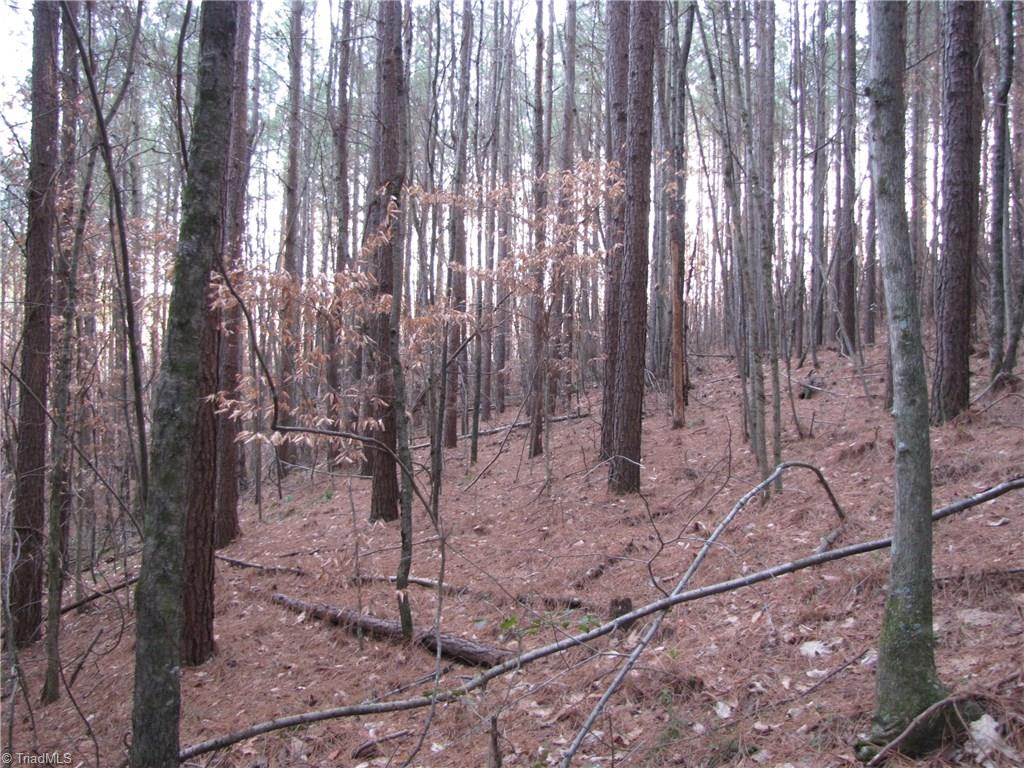 Off Calahaln Road Mocksville, NC 27028 - Photo 22 of 24 Gallery Image 22