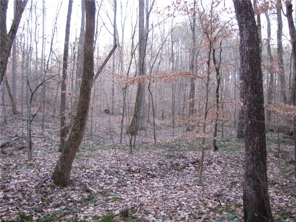 Off Calahaln Road Mocksville, NC 27028 - Photo 24 of 24 Gallery Image 24