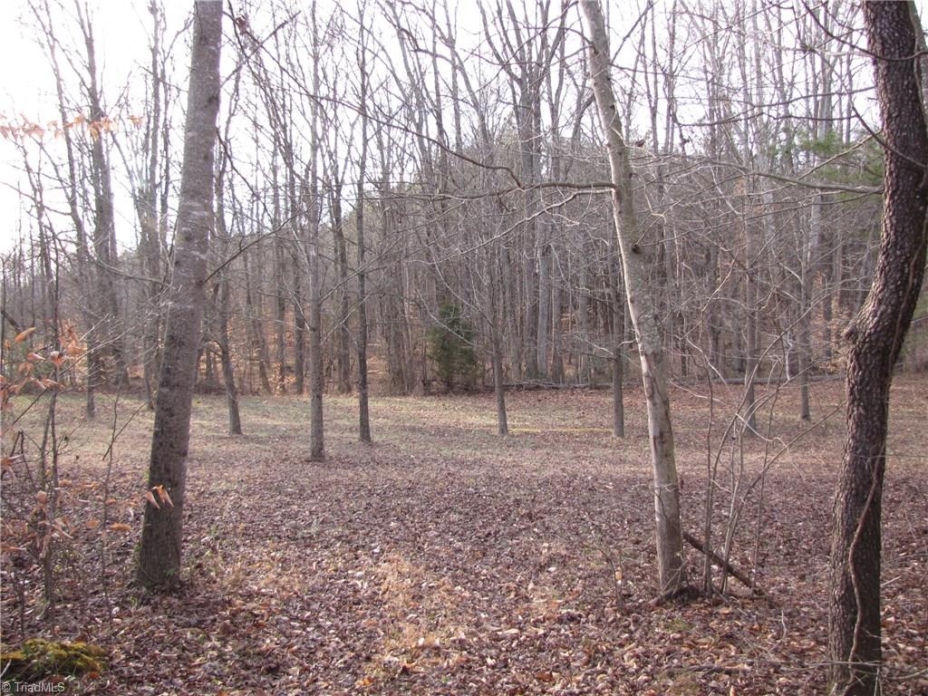 Off Calahaln Road Mocksville, NC 27028 - Photo 8 of 24 Gallery Image 8