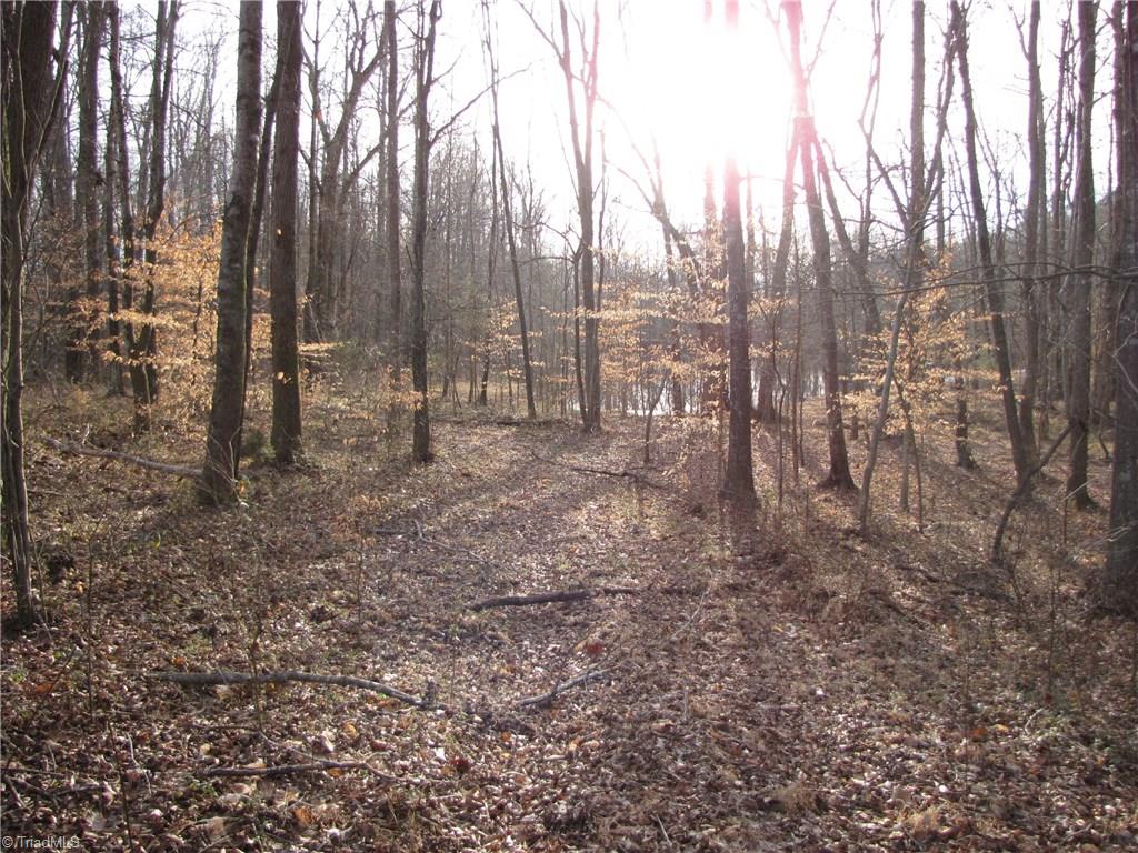 Off Calahaln Road Mocksville, NC 27028 - Photo 10 of 24 Gallery Image 10