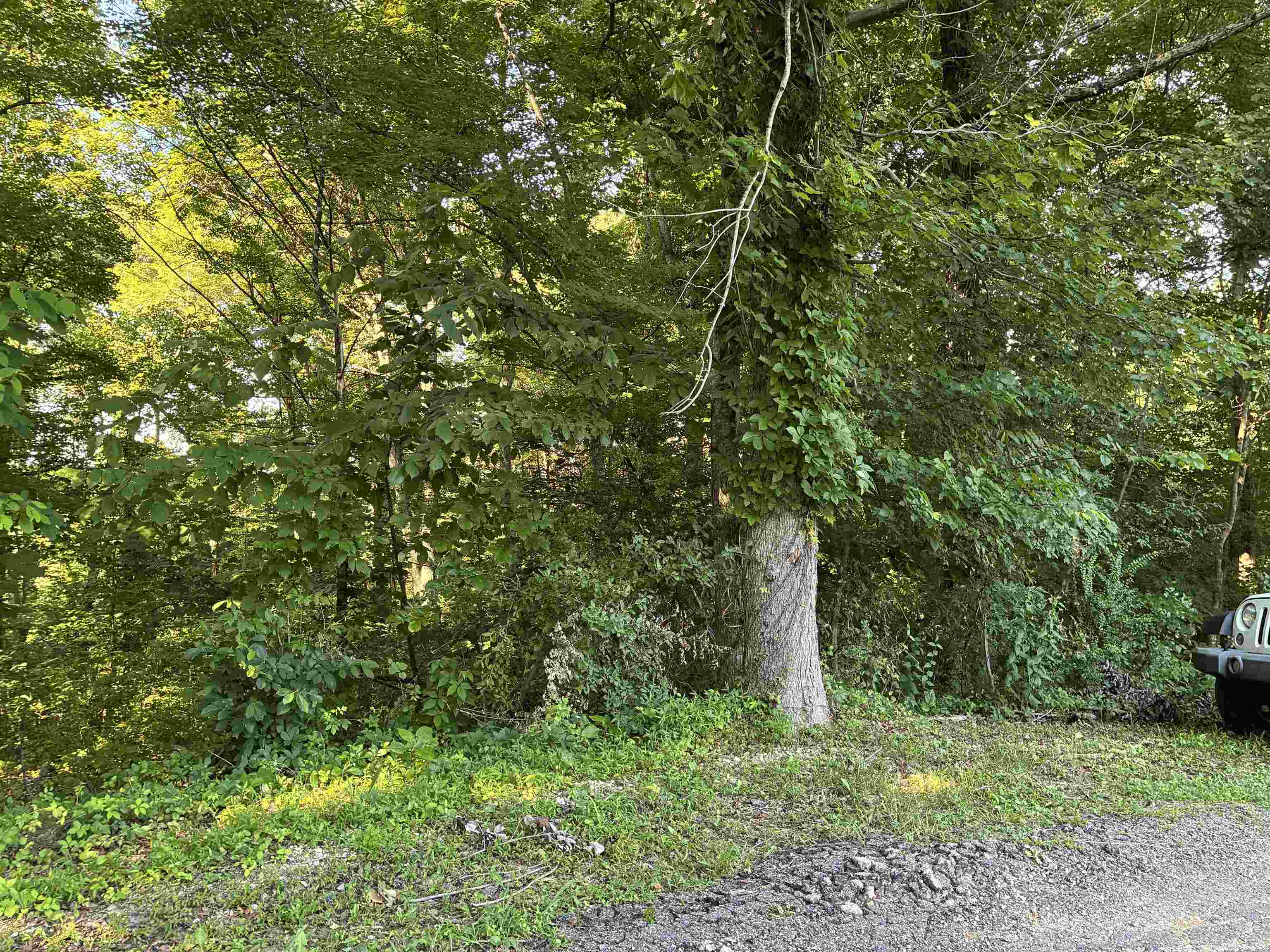 312 Vaughn Road Louisa, KY 41230 - Photo 3 of 5