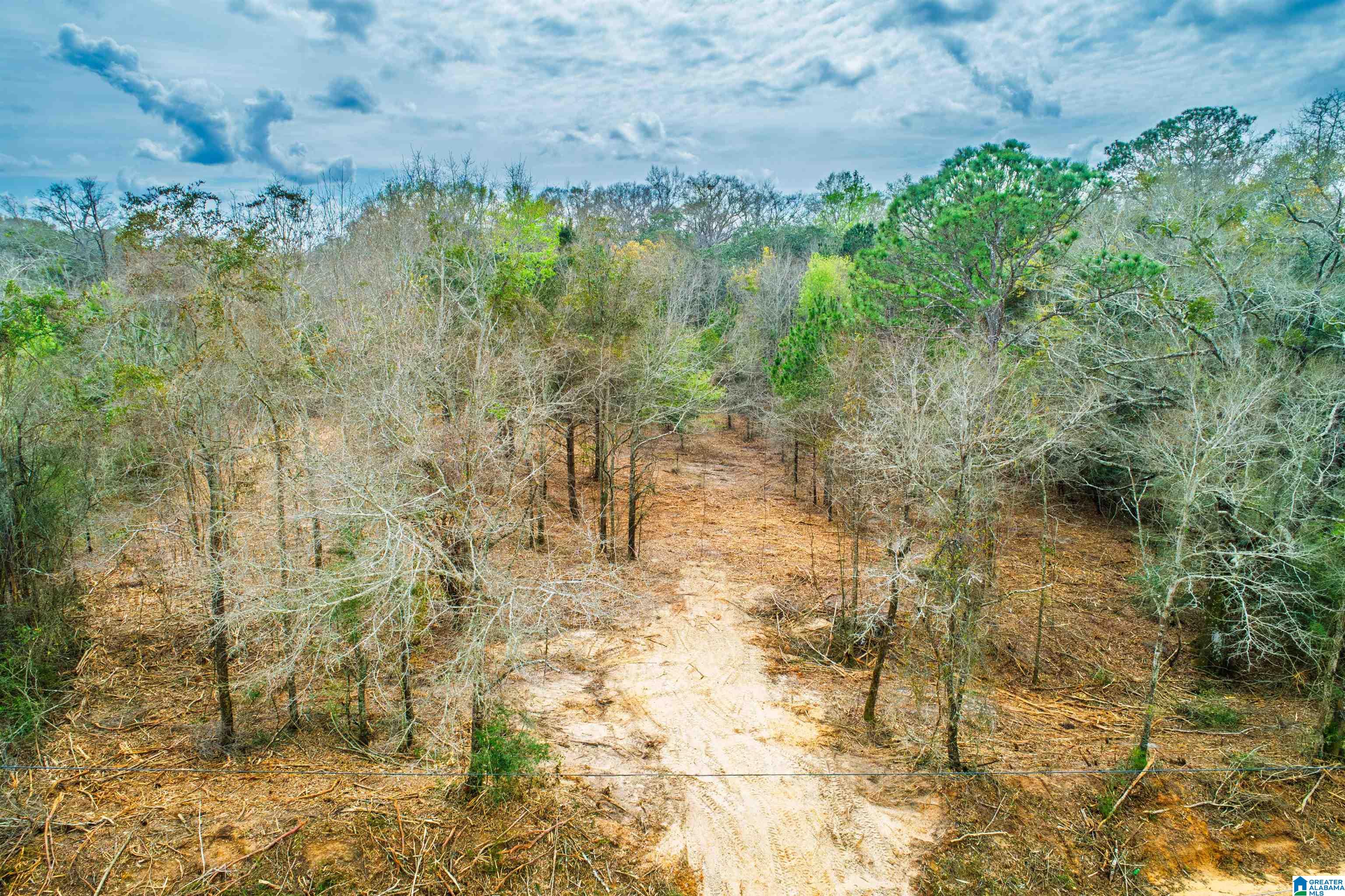 27180 Deer Run Road Opp, AL 36467 - Photo 31 of 60