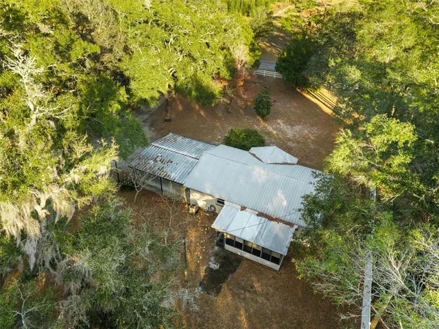 a plant with lots of flowers