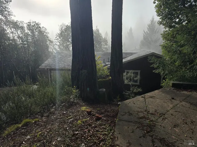a couple of flower plants in front of building