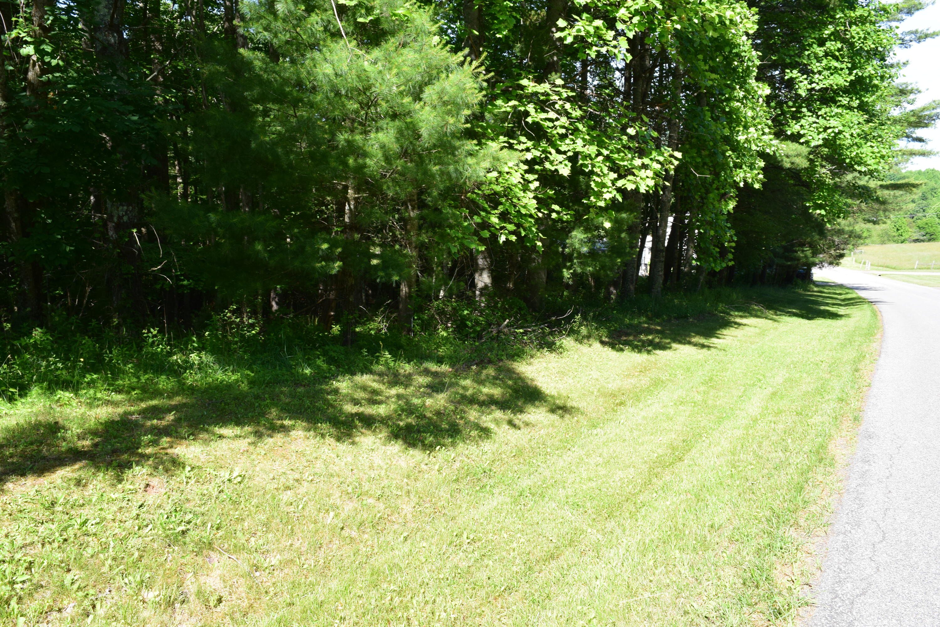 812 Conner Grove Road Southwest Willis, VA 24380 - Photo 70 of 87 DSC_0033