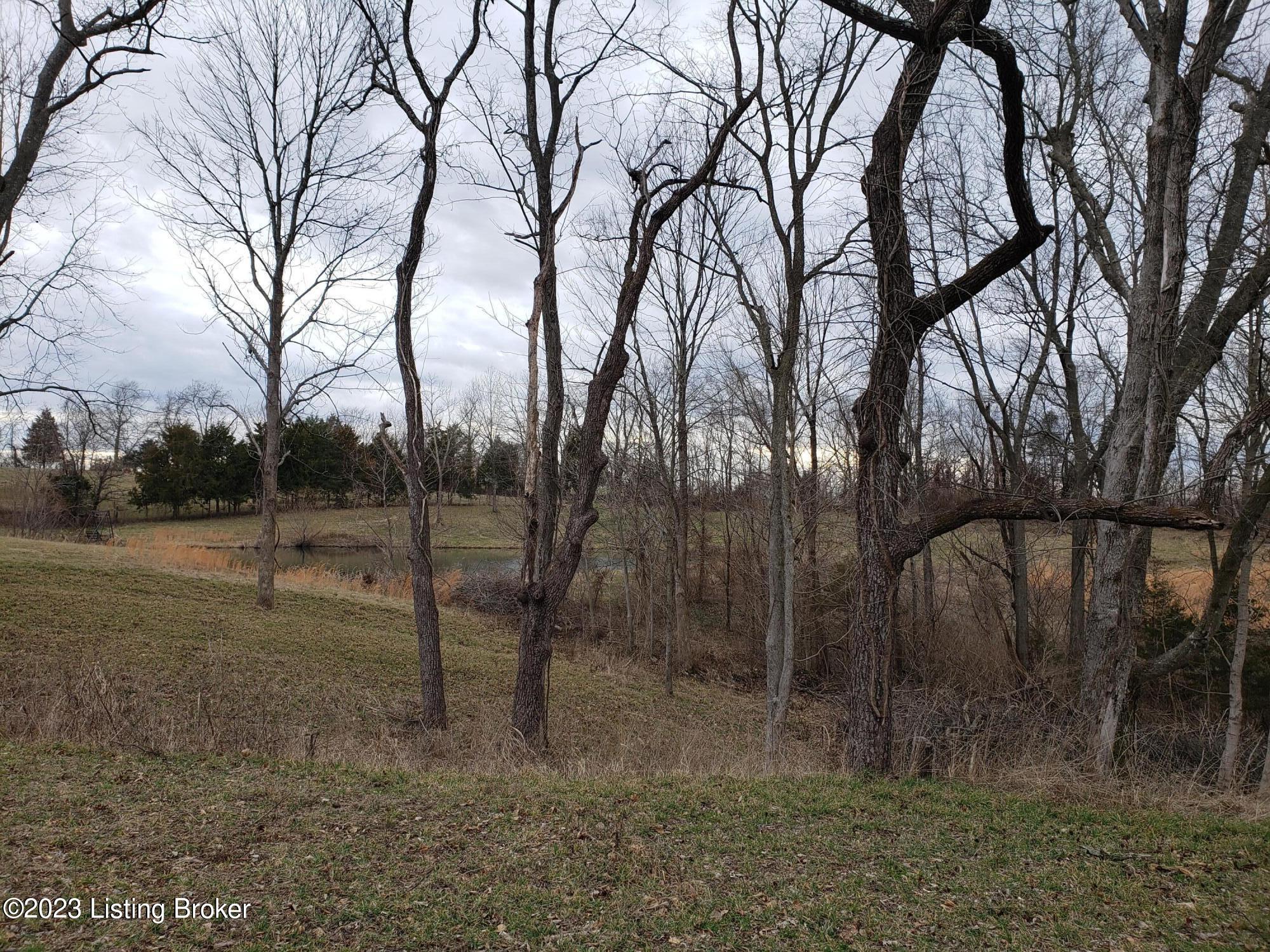 205 Roby Rdg Road Coxs Creek, KY 40013 - Photo 56 of 68 20230128_162226