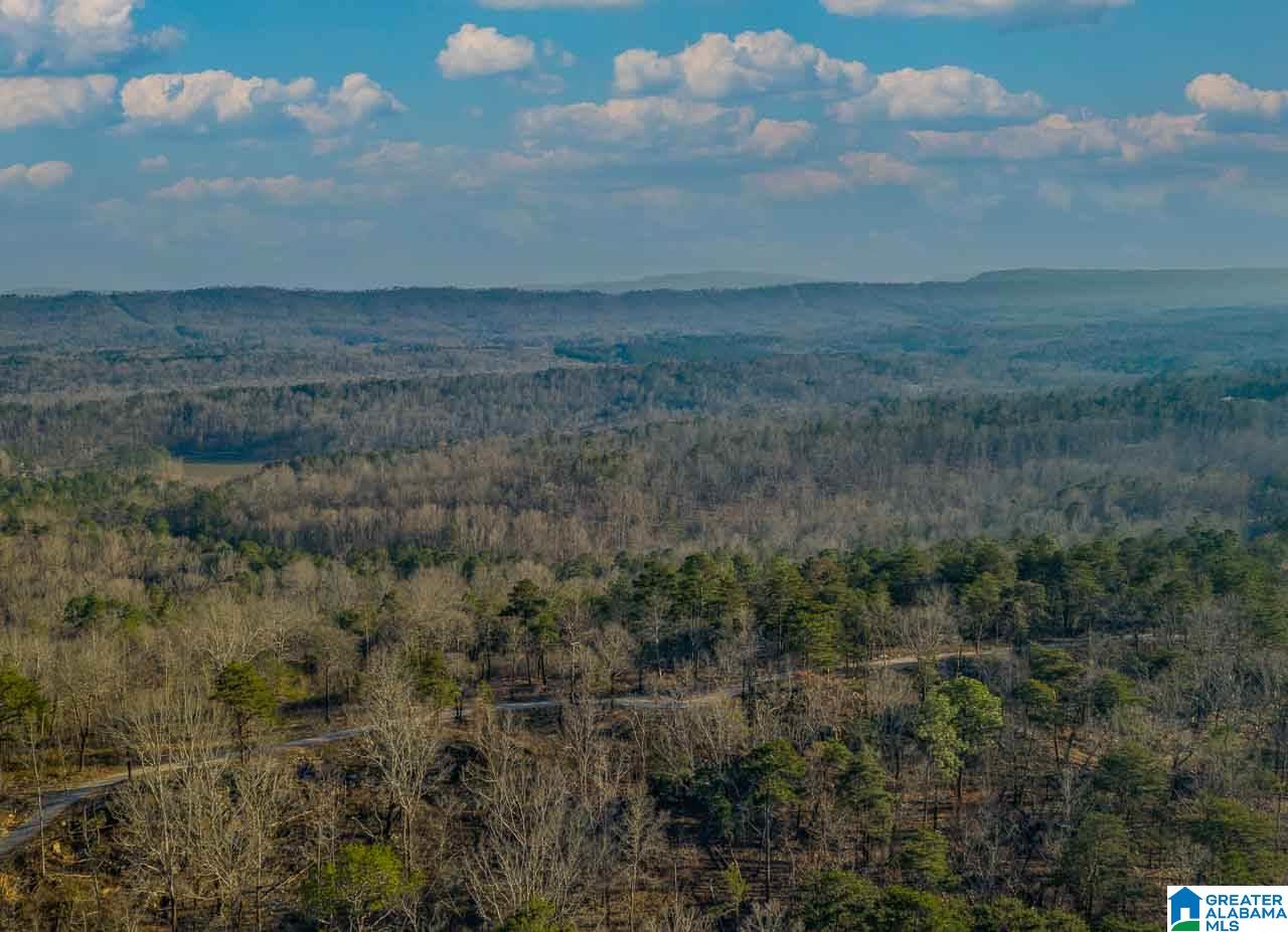 8150 Dunnavant Road, Unit 1 Leeds, AL 35094 - Photo 6 of 29