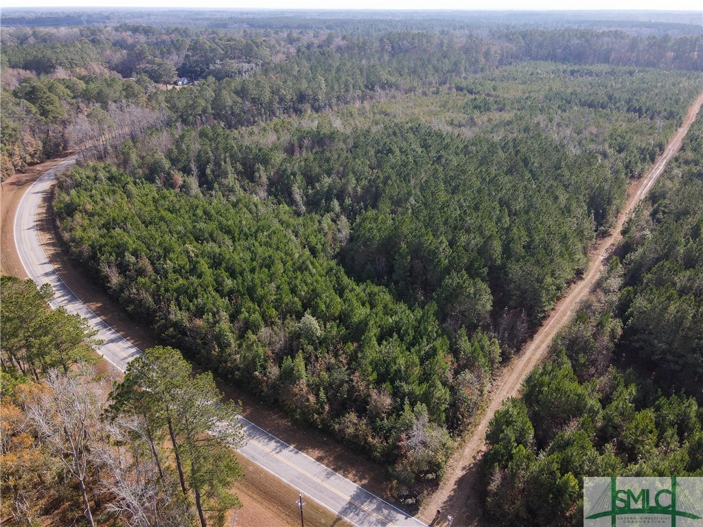 1 Berryville Road Springfield, GA 31329 - Photo 3 of 4
