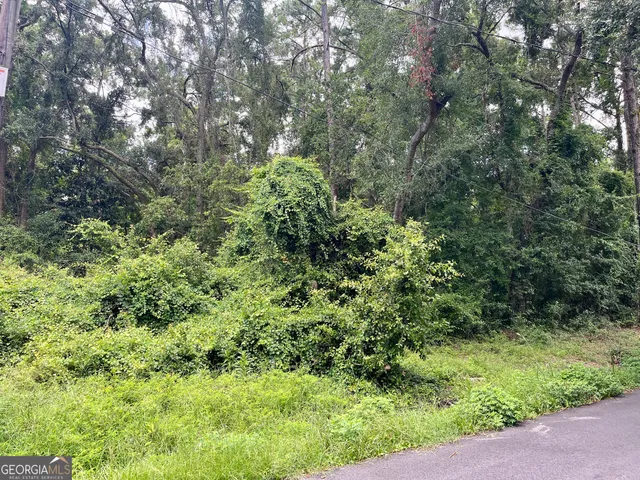 a view of a lush green forest