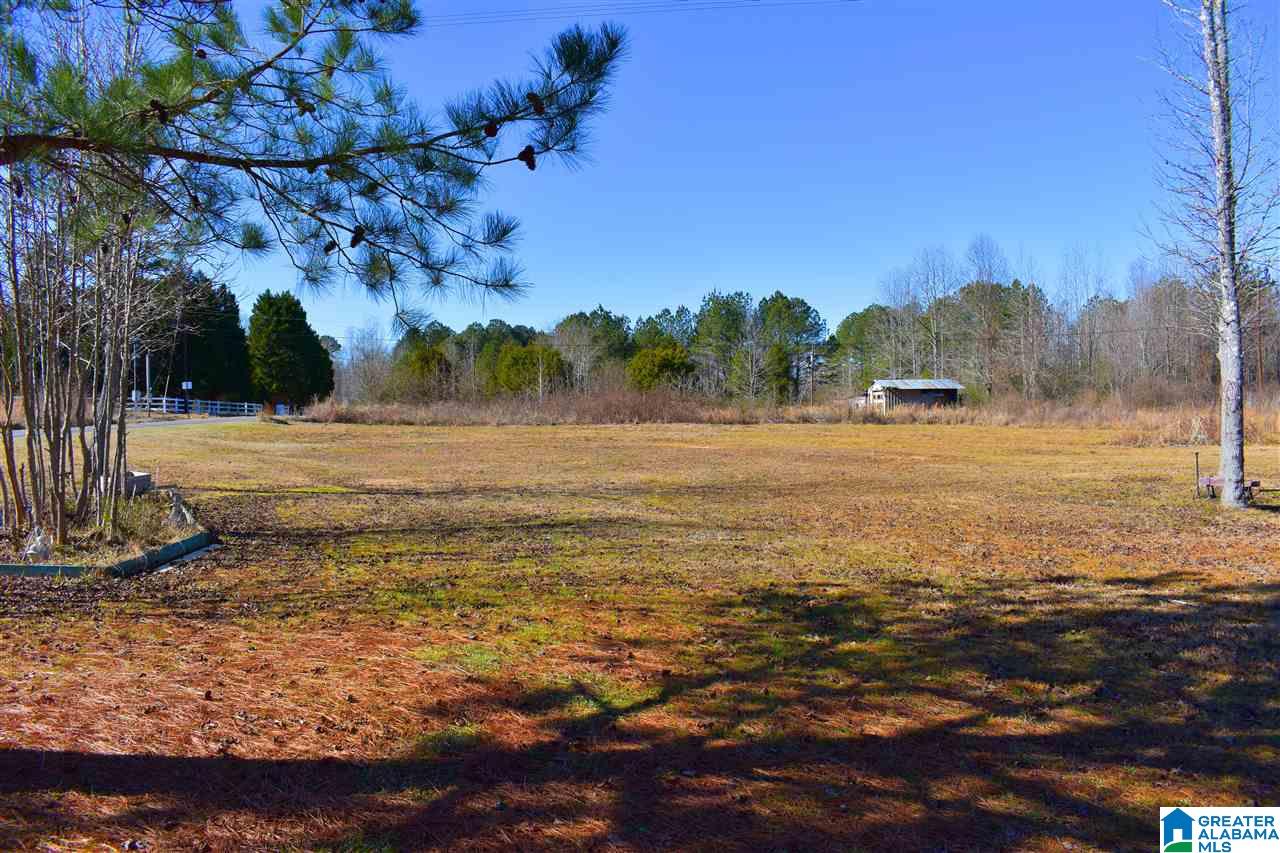 49 Jim Bagwell Road Empire, AL 35063 - Photo 14 of 16