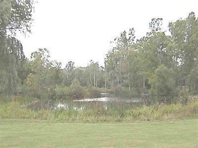14265 North Lewis Road Clio, MI 48420 - Photo 5 of 9 20279518-4.JPG