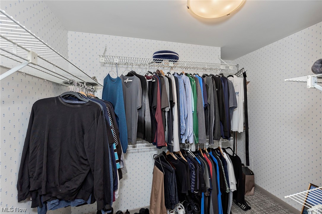 27500 Cedar Road, Unit 608 Beachwood, OH 44122 - Photo 20 of 34 #2 walk-in closet in master bedroom.