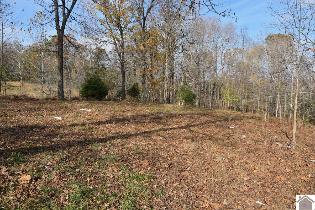 0 Goodsprings Road Fredonia, KY 42411 - Photo 22 of 33 Photo 22
