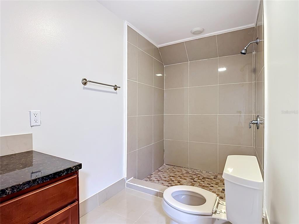 7925 Lake Mabel Loop Road Lake Wales, FL 33898 - Photo 53 of 97 a bathroom with a granite countertop toilet a sink and a shower