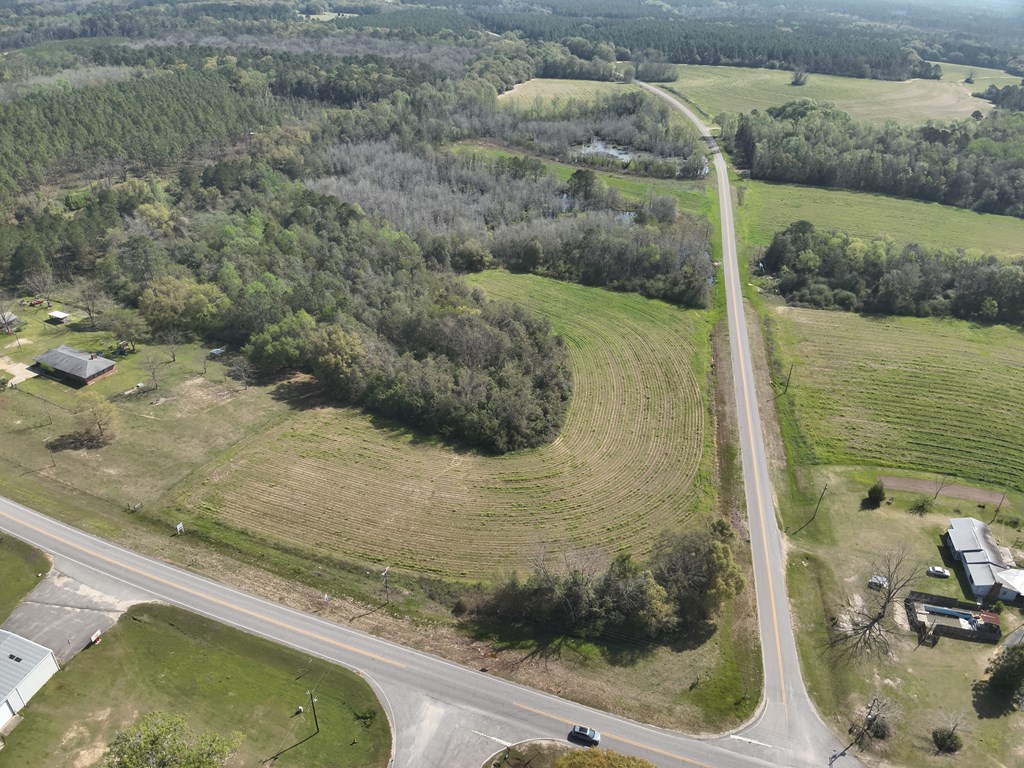 17.57-acres Red Oak Road Florala, AL 36442 - Photo 3 of 11