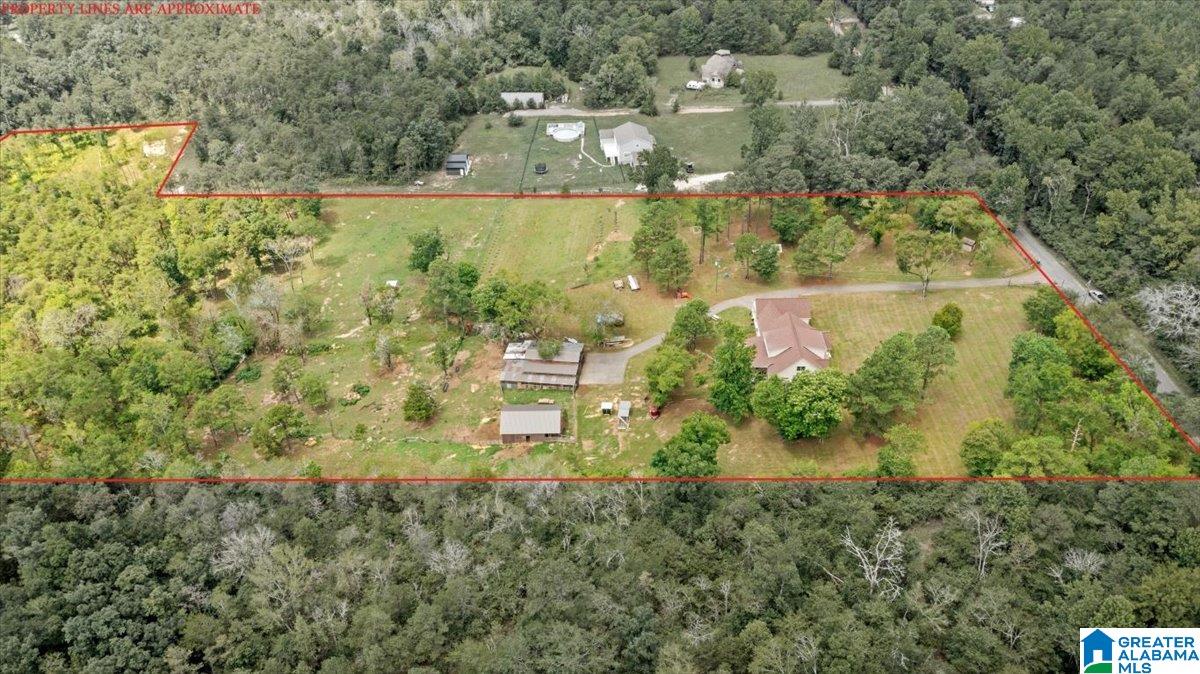 770 Newton Road Odenville, AL 35120 - Photo 29 of 40
