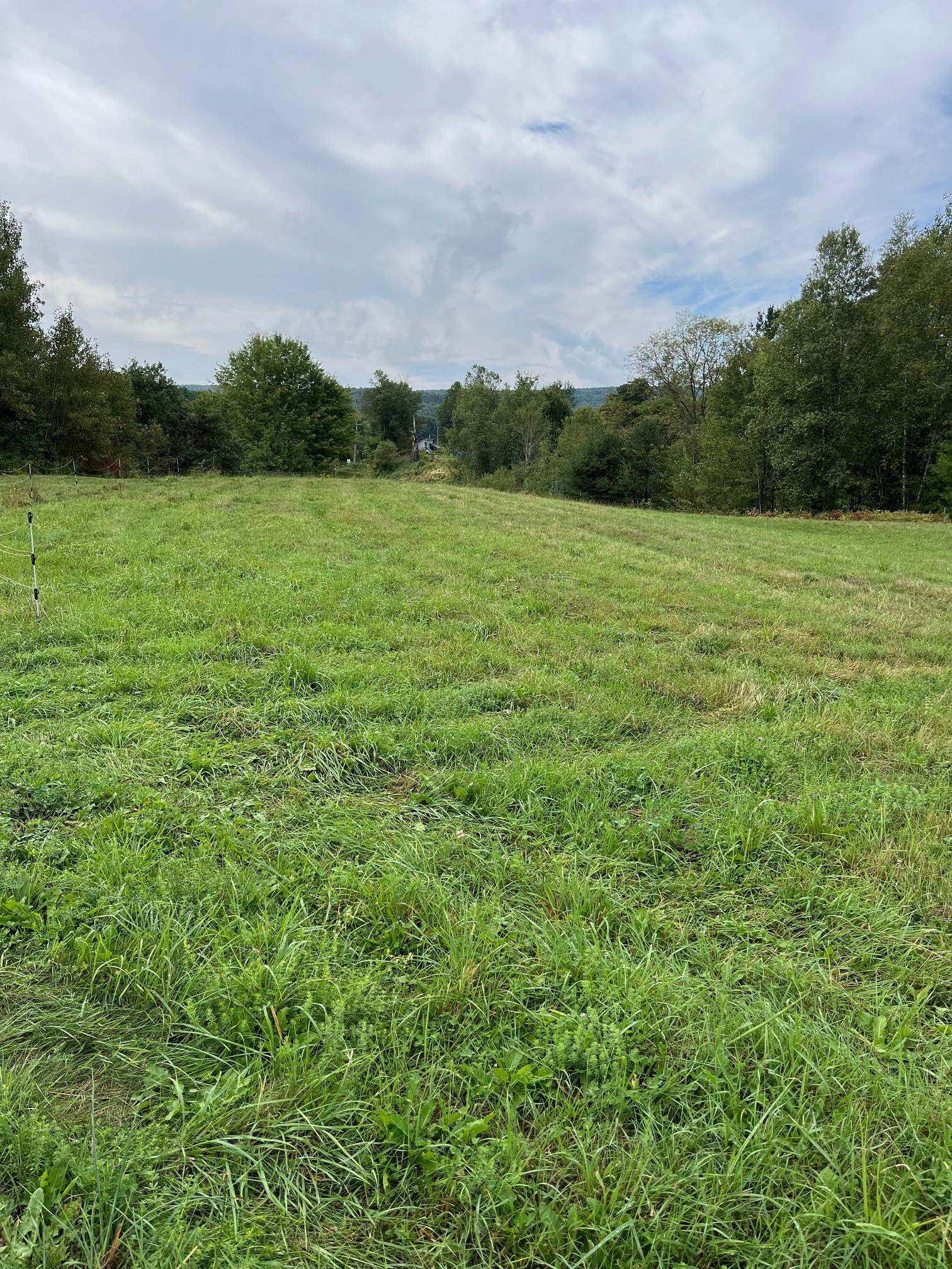 64 West Hill Road Wolcott, VT 05680 - Photo 13 of 52