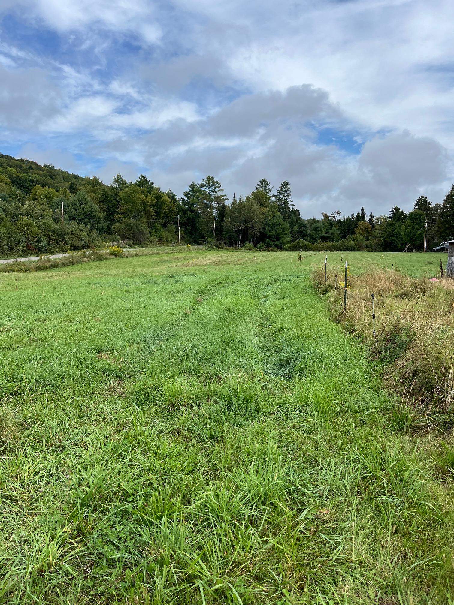 64 West Hill Road Wolcott, VT 05680 - Photo 14 of 52