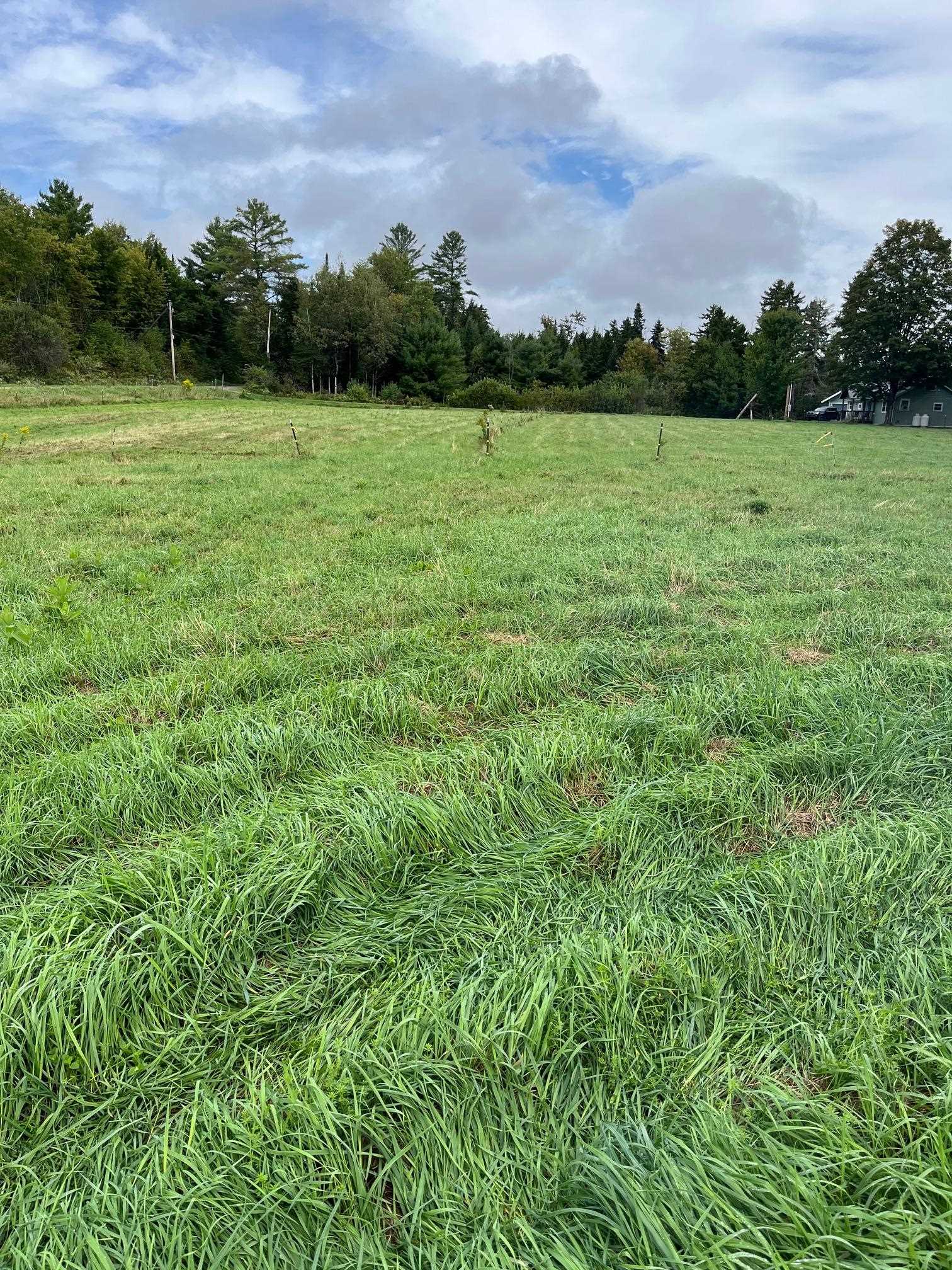 64 West Hill Road Wolcott, VT 05680 - Photo 15 of 52