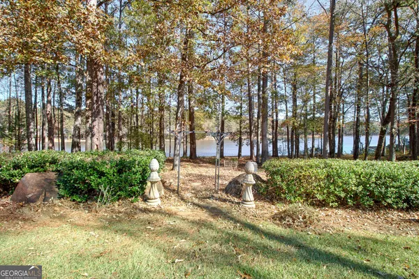 a view of a yard with trees in the background