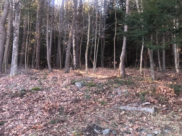 574 Willard Road, Unit 2A Hartford, VT 05059 - Photo 4 of 12 Gallery Image 4