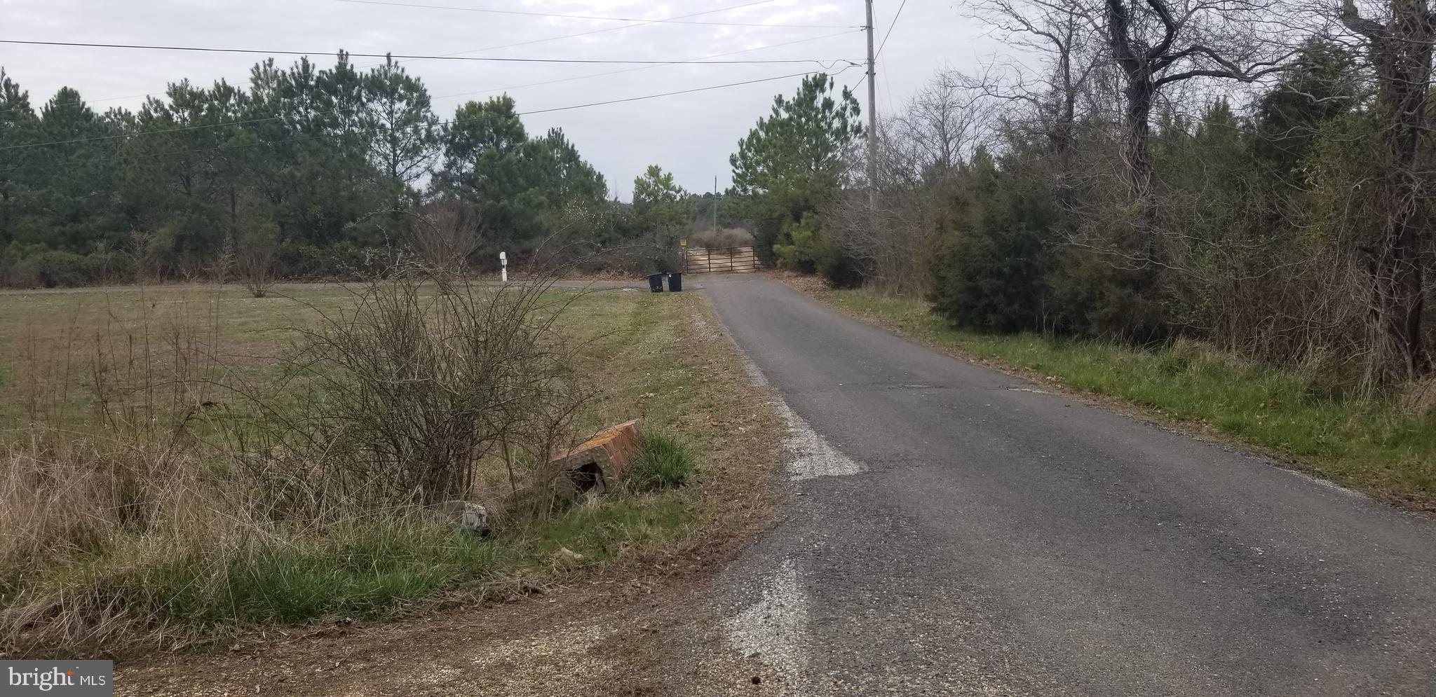 11965 Potomac View Road Newburg, MD 20664 - Photo 16 of 18 Street view