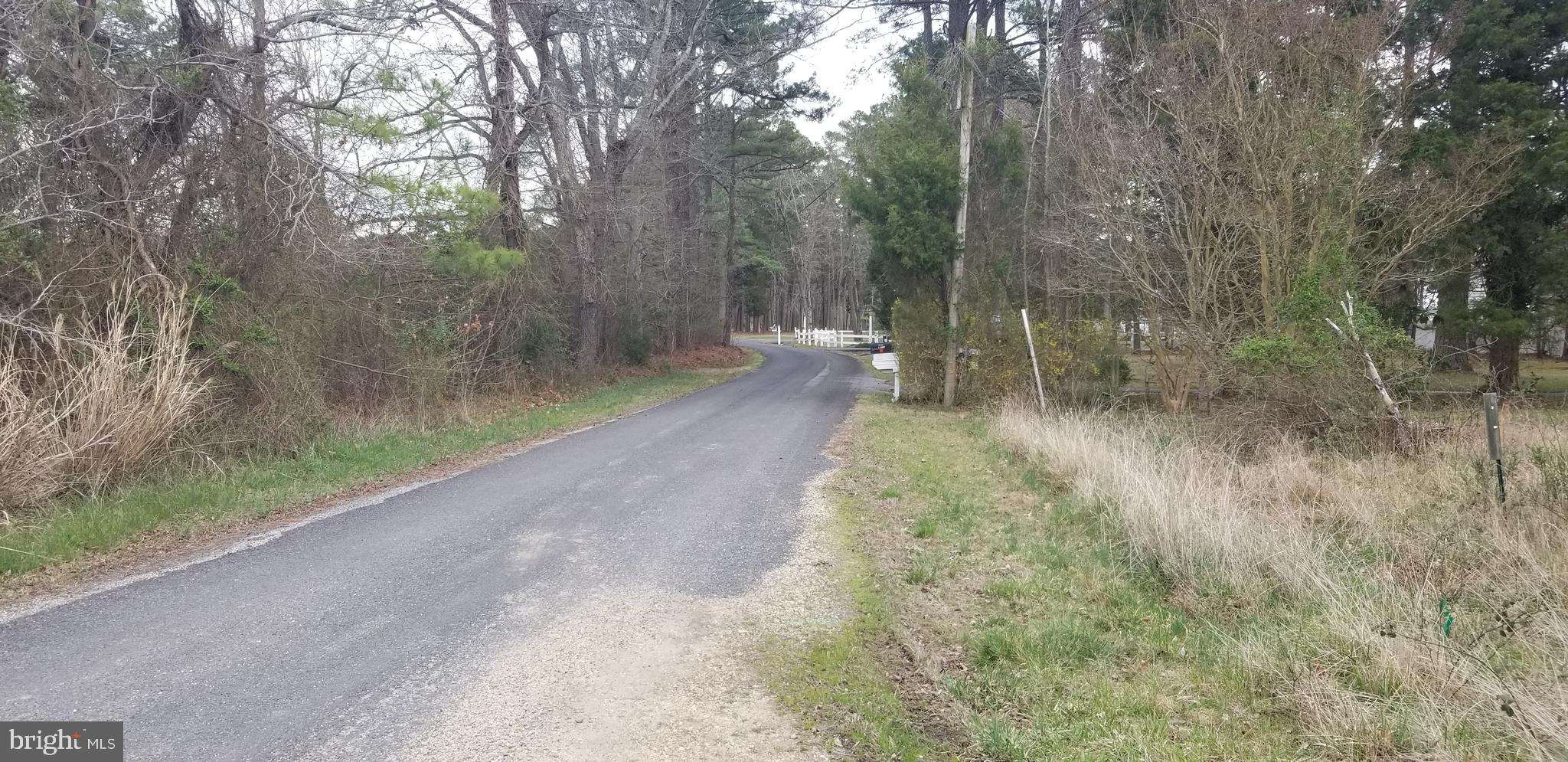 11965 Potomac View Road Newburg, MD 20664 - Photo 18 of 18 Street view