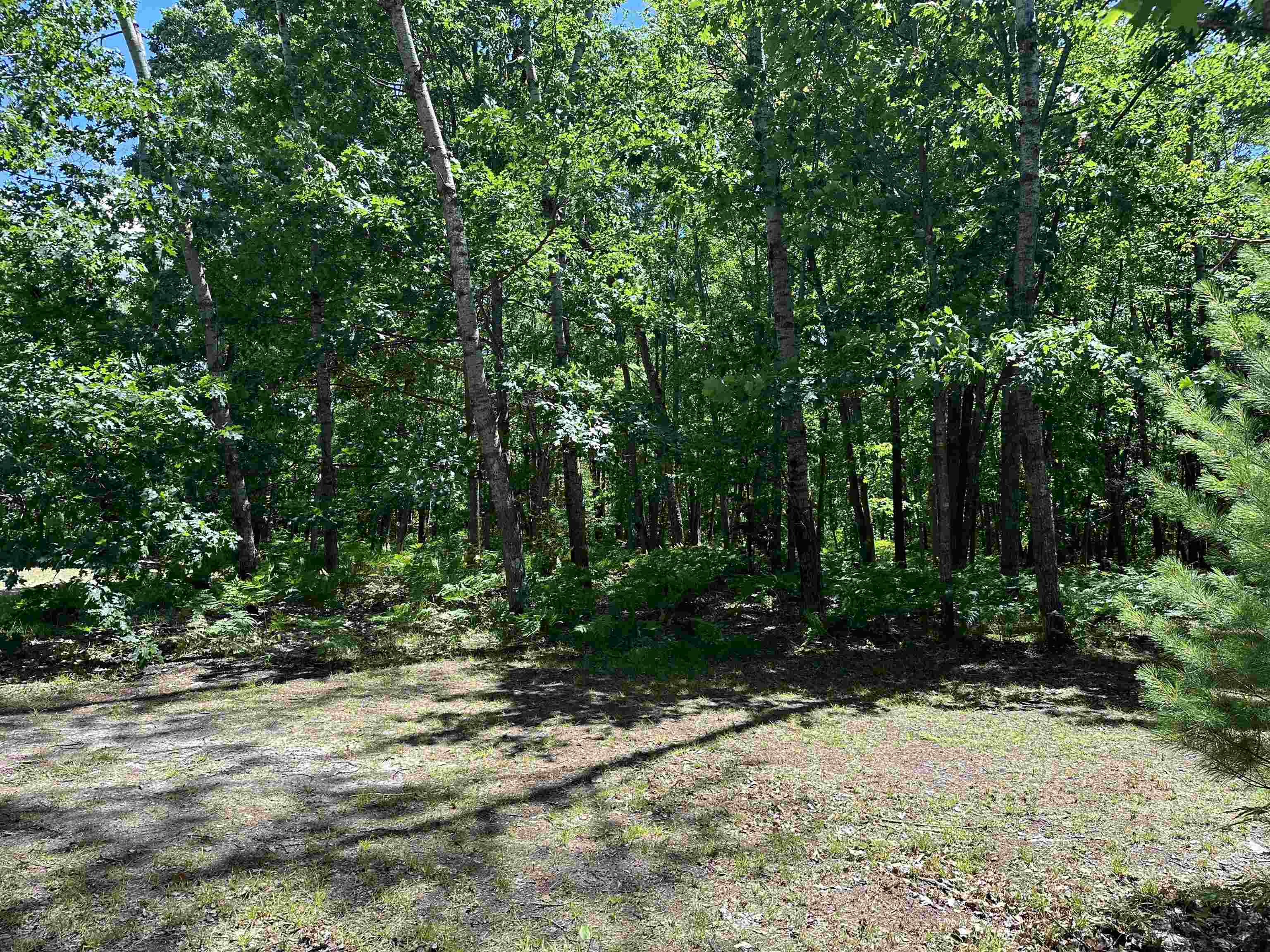 0 North Hodenpyl Dam Road Mesick, MI 49668 - Photo 6 of 11