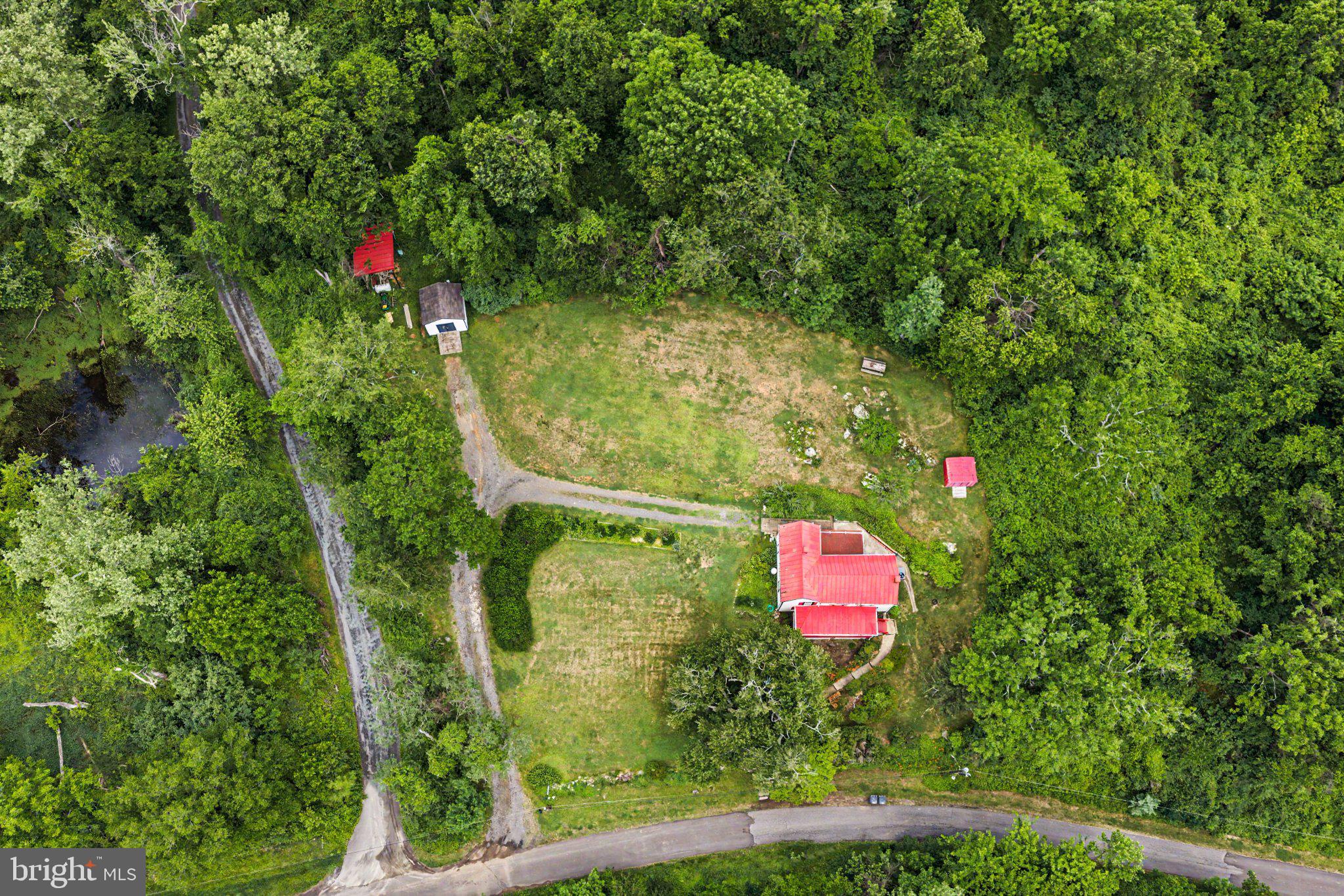 6287 Old Zion Road Warrenton, VA 20187 - Photo 34 of 69 Secluded retreat amidst lush greenery.