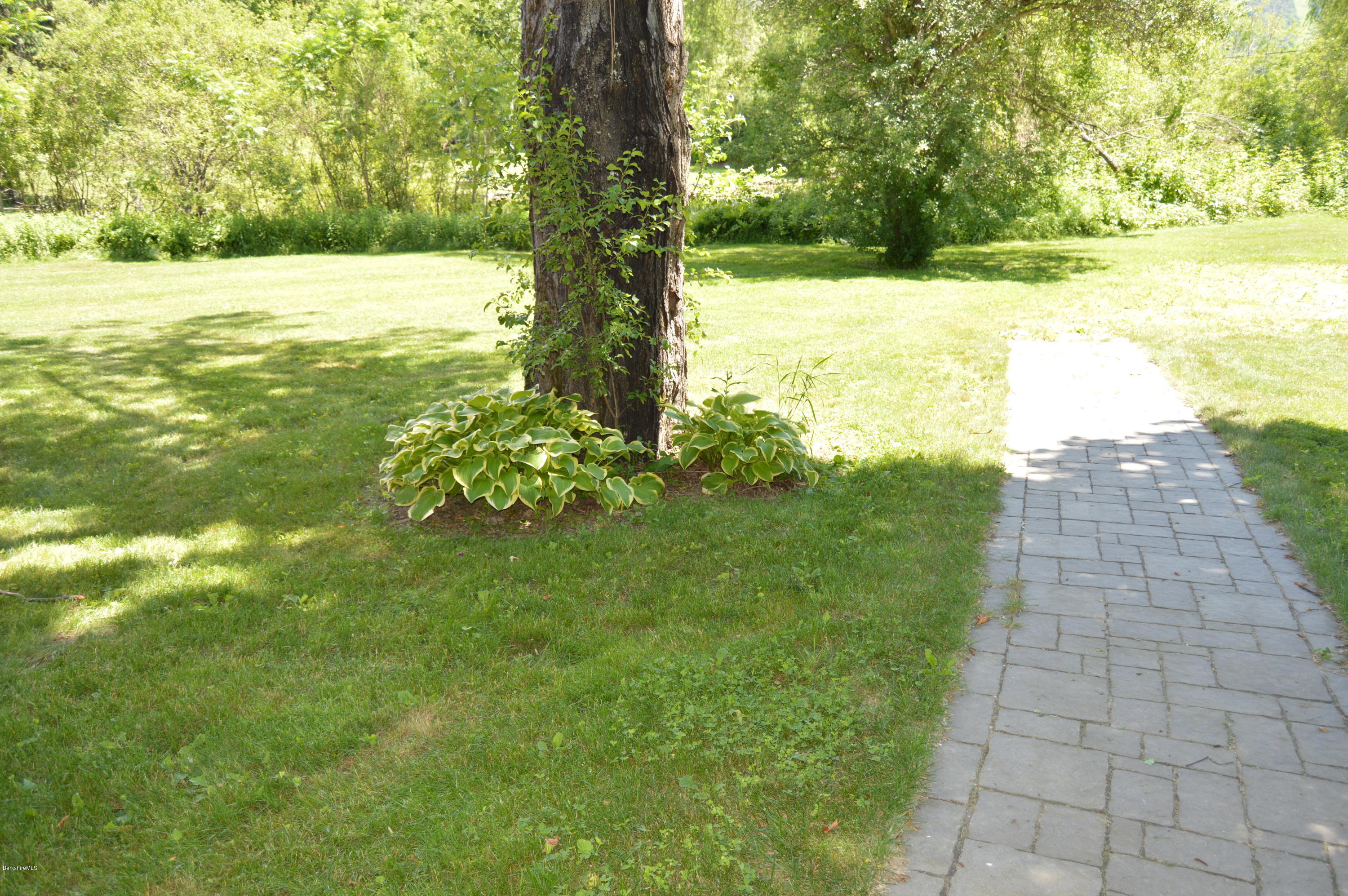 202-204 Whitman Road Hancock, MA 01267 - Photo 6 of 59 a view of yard with green space