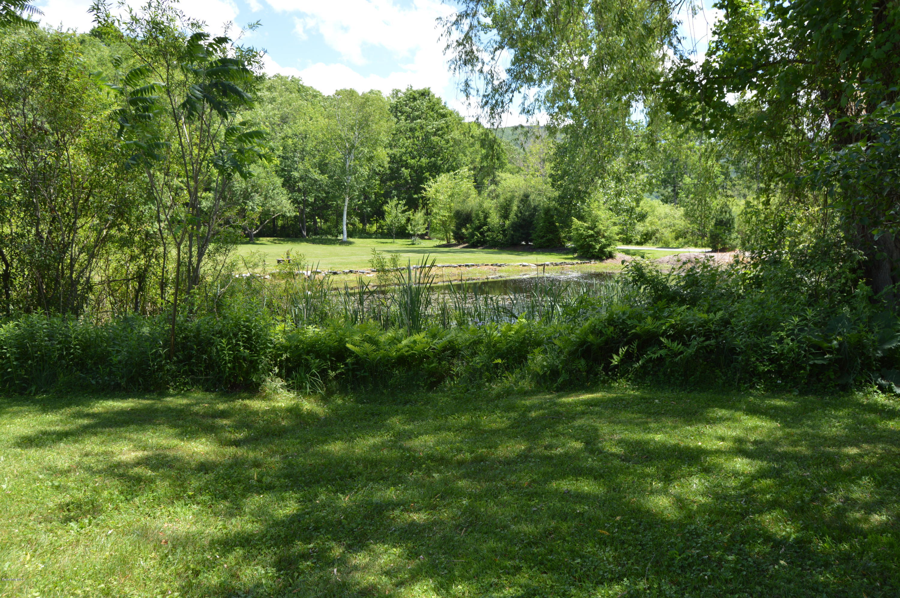 202-204 Whitman Road Hancock, MA 01267 - Photo 8 of 59 a view of outdoor space with a garden and trees
