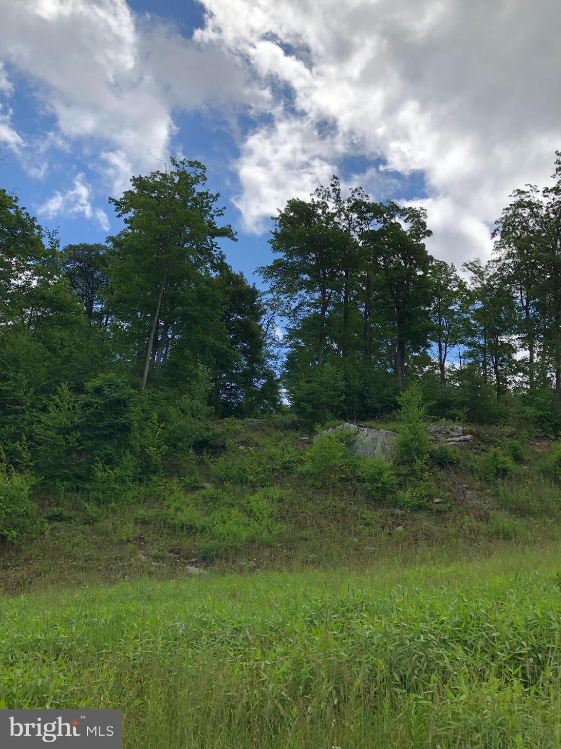Lot 87 Lower Camp Road McHenry, MD 21541 - Photo 6 of 12