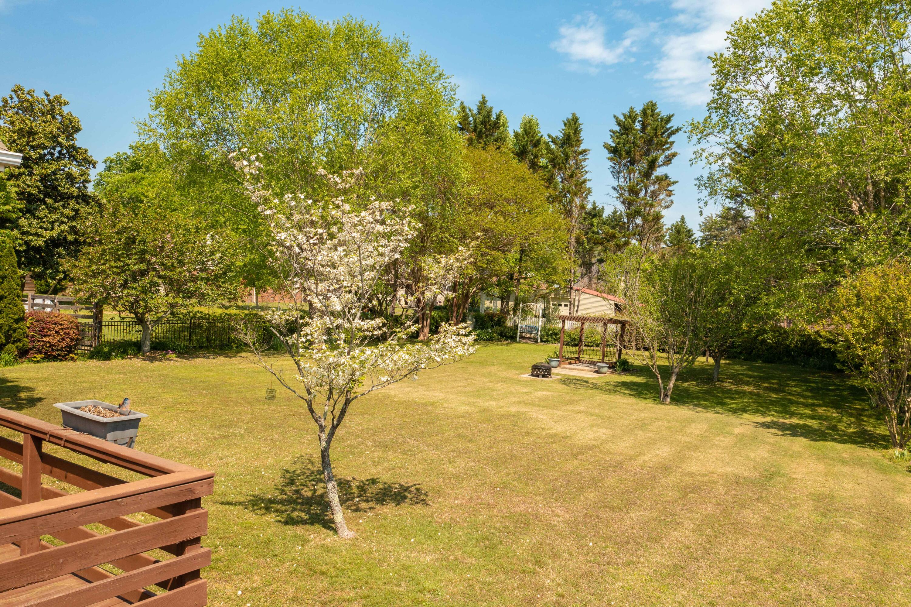 43 Water Ml Trace Ringgold, GA 30736 - Photo 29 of 60 DJI_0055