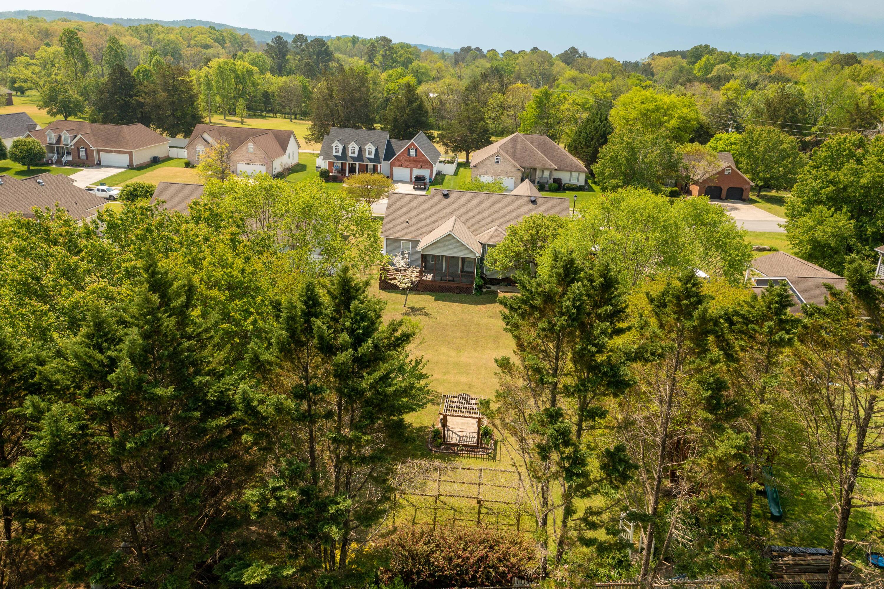 43 Water Ml Trace Ringgold, GA 30736 - Photo 35 of 60 DJI_0087