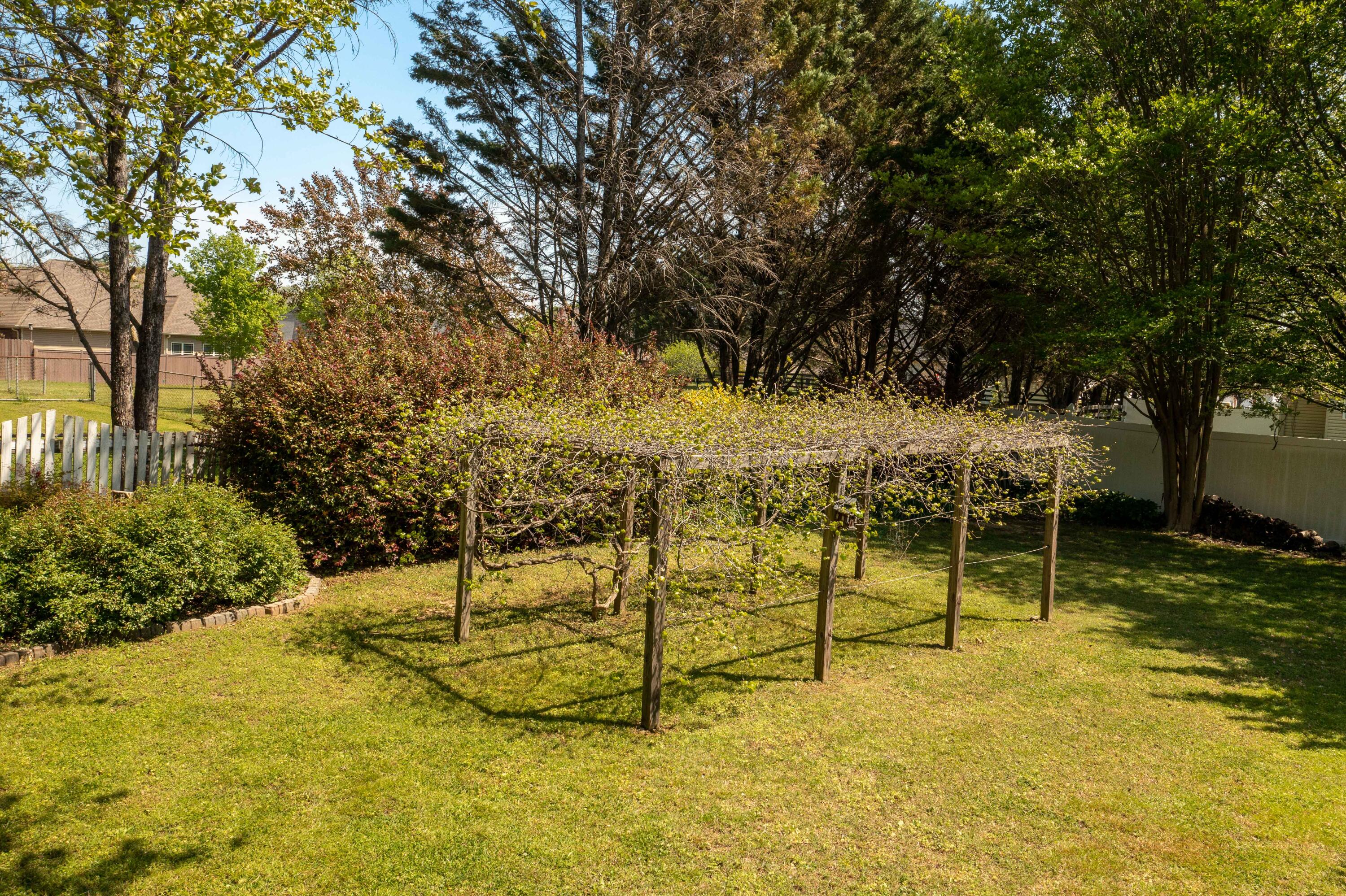 43 Water Ml Trace Ringgold, GA 30736 - Photo 44 of 60 DJI_0145