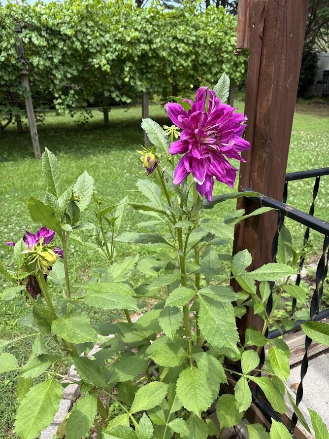 43 Water Ml Trace Ringgold, GA 30736 - Photo 57 of 60 IMG_1441