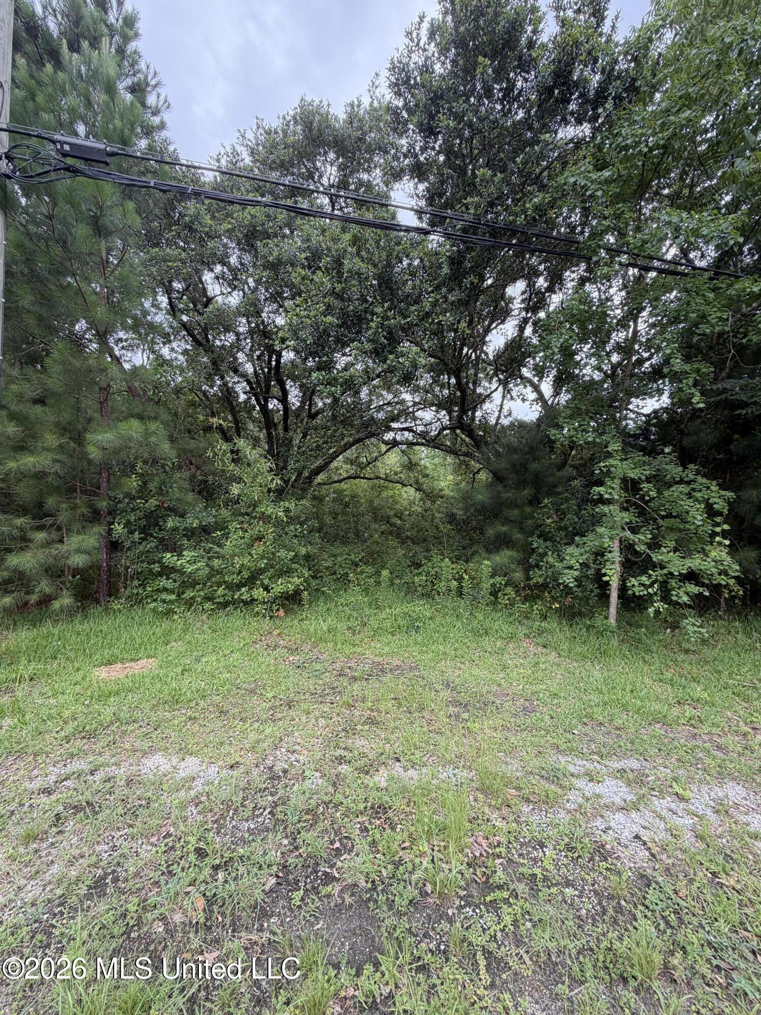 1465 Blue Meadow Road Bay St. Louis, MS 39520 - Photo 2 of 5 IMG_2210