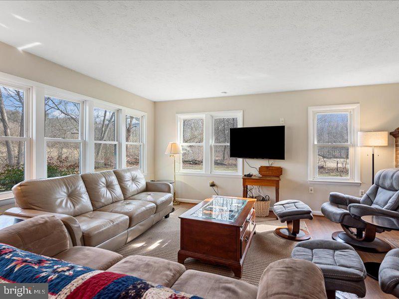 229 Forest View Road Edinburg, VA 22824 - Photo 11 of 53 Living Room