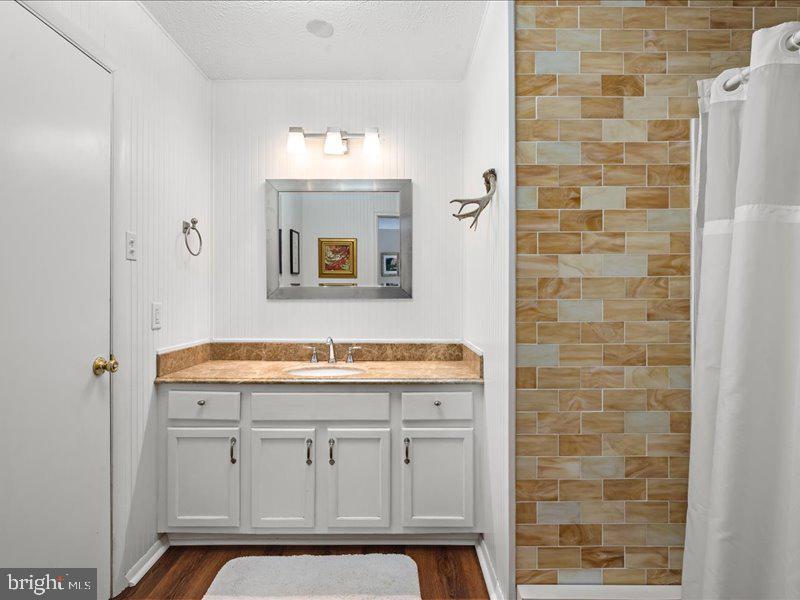 229 Forest View Road Edinburg, VA 22824 - Photo 20 of 53 Main Floor full Bath